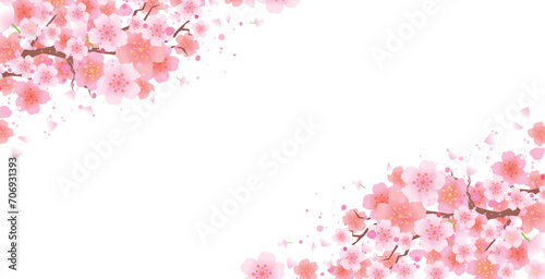 春の桜の花びら背景 photo