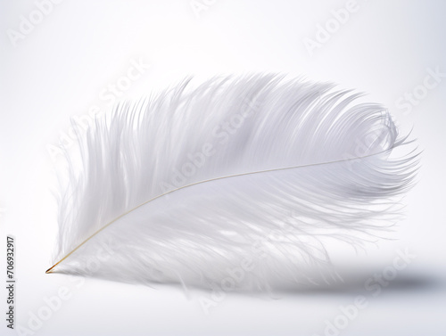 a white feather on a white background