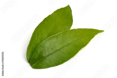 Green citrus leaves, isolated on white background.
