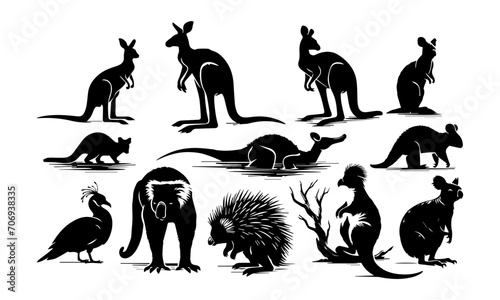 autraillian animals silhouettes or detailed vectors set