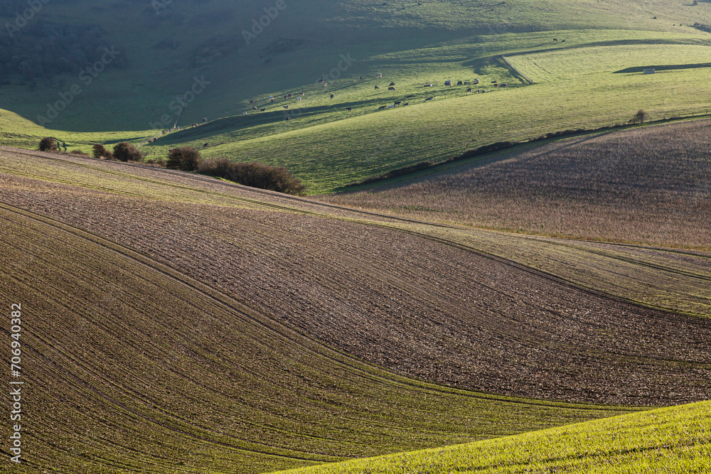 A full frame photograph of an idyllic South Downs landscape on a sunny winter's day