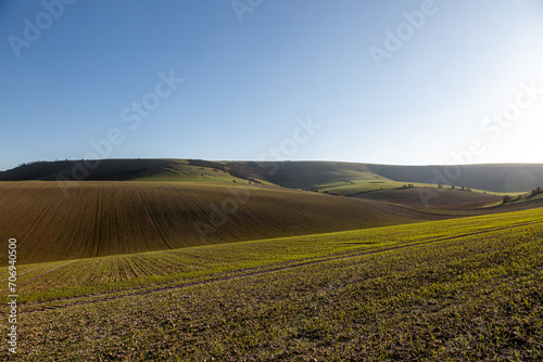 Looking out over fields towards Kingston Ridge in the South Downs  with a blue sky overhead