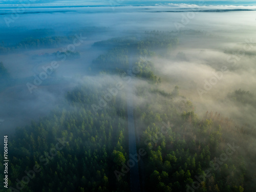 Serenity in the Pines: Aerial Sunrise Over Enchanting Swedish Forest with Mystical Morning Mist" (ID: 706944114)