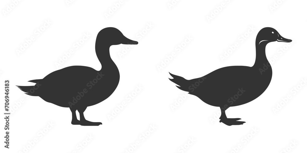 Duck silhouette on a white background. Vector illustration Duck silhouette on a white background. Vector illustration