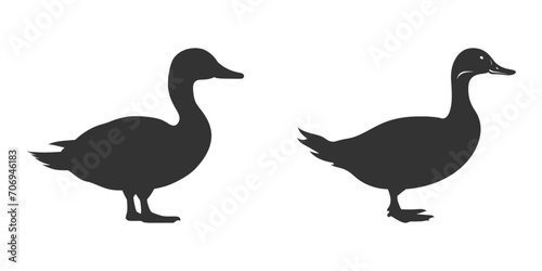 Duck silhouette on a white background. Vector illustration