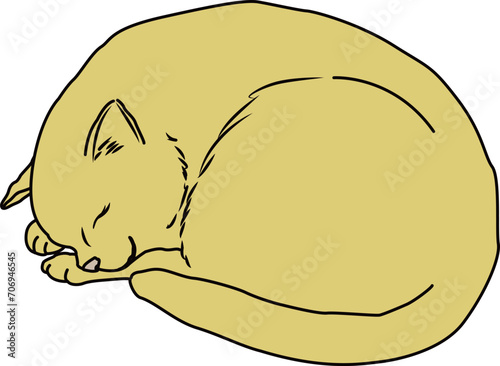 猫（cat）(eps)