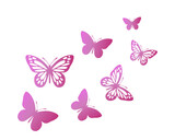 pink gradient butterfly flock  fliying
