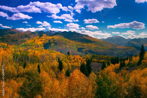 Aerial view of mountains covered with autumn trees on a sunny day
