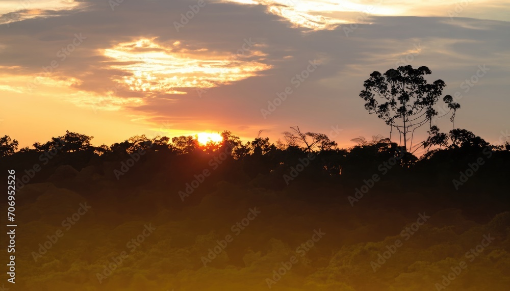 Sunset over the green trees in the rainforest of Amazonas