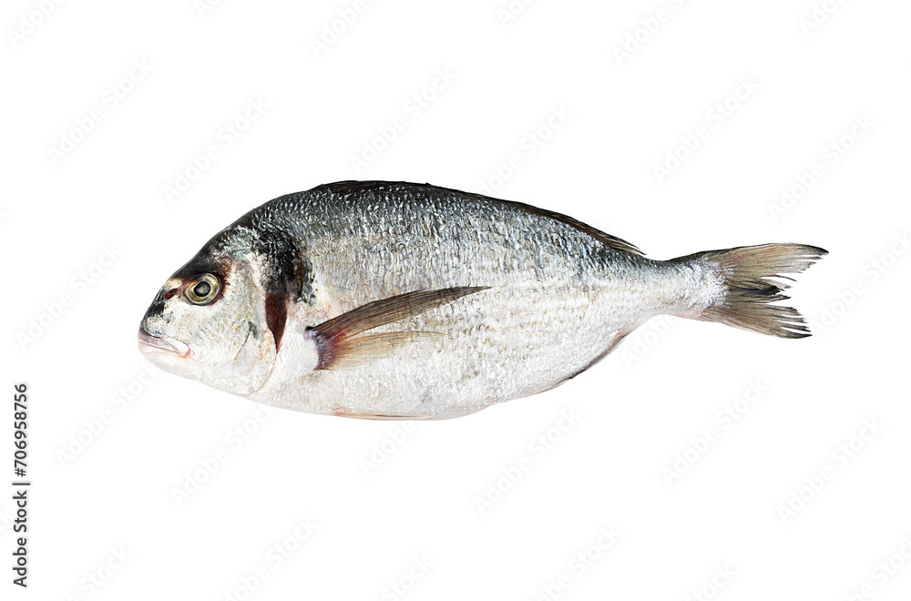 Fresh Dorado fish isolated on white background. Close-up. Fresh Dorado fish isolated on white background. Close-up.