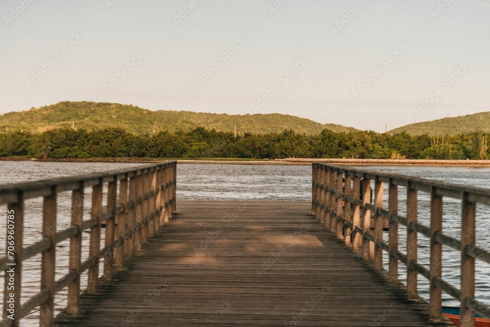 Rustic wooden bridge spanning a tranquil river, with lush green trees providing a scenic backdrop.
