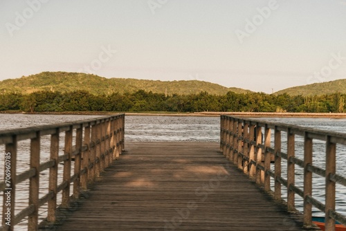 Rustic wooden bridge spanning a tranquil river  with lush green trees providing a scenic backdrop.