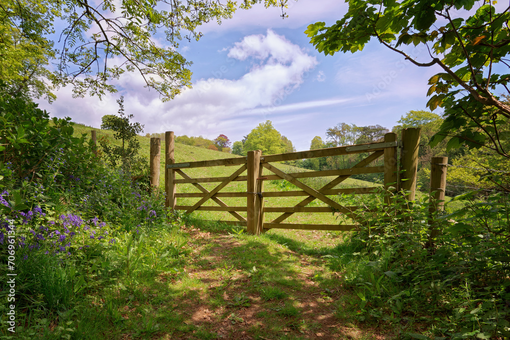 A wooden farm gate into a meadow in England UK