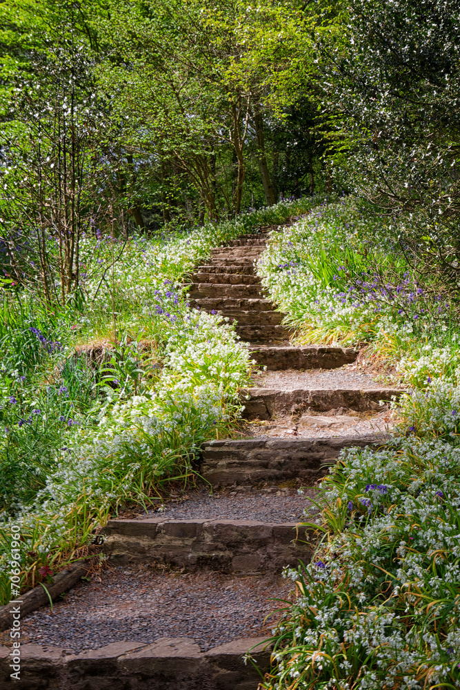Obraz premium Steps through the flowers 