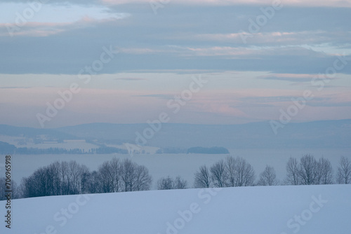 Winter trees by Lake Mjosa. © Øyvind