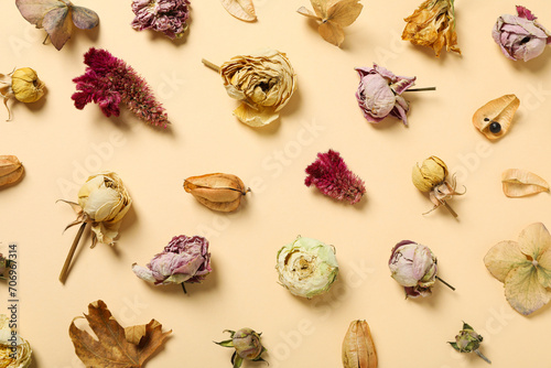 Dried flower buds on beige background, top view