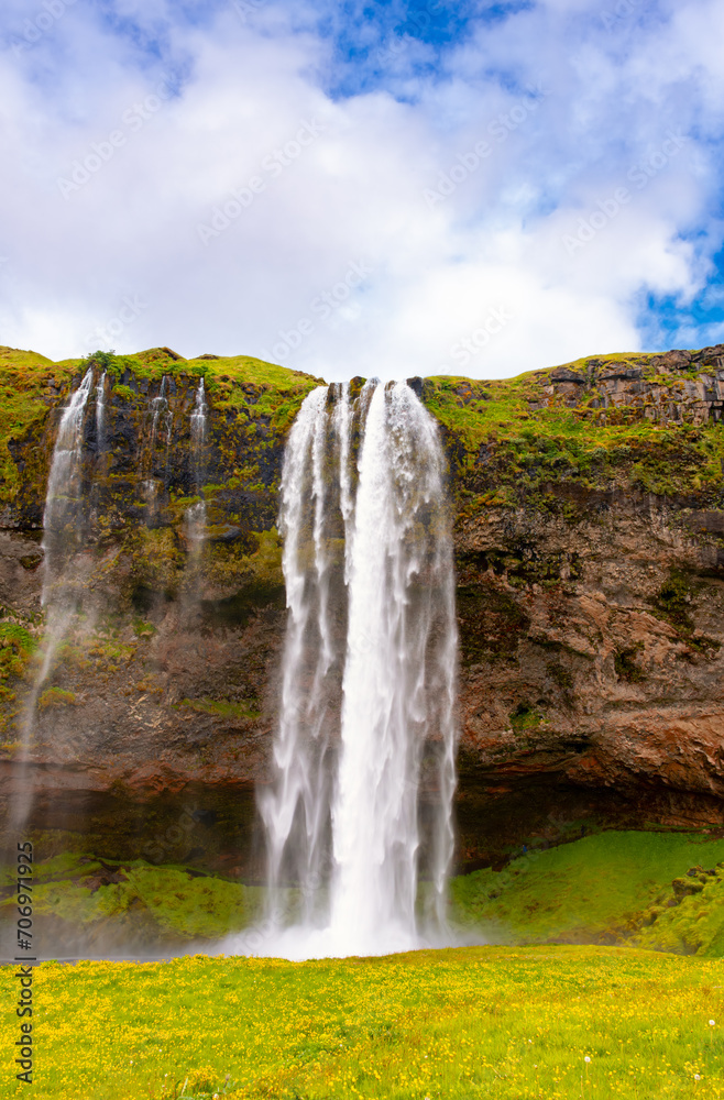 “Seljalandsfoss“ cascade falling from volcanic rim in Iceland. Frontal view of high cascade in colorful scenery with yellow flowers, green meadow, red volcanic rock and blue sky. Tourist attraction