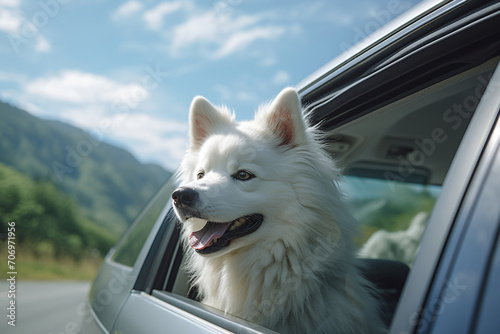 White dog of black and white with blue eyes hanging out of a window of white car in sunny day, in the style of blurred landscapes, light green and red, pentax espio mini, wimmelbilder, mountainous vis photo
