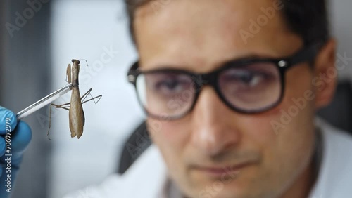 A farmer studies a praying mantis. The world myth of global hunger and the need for insect feeding photo