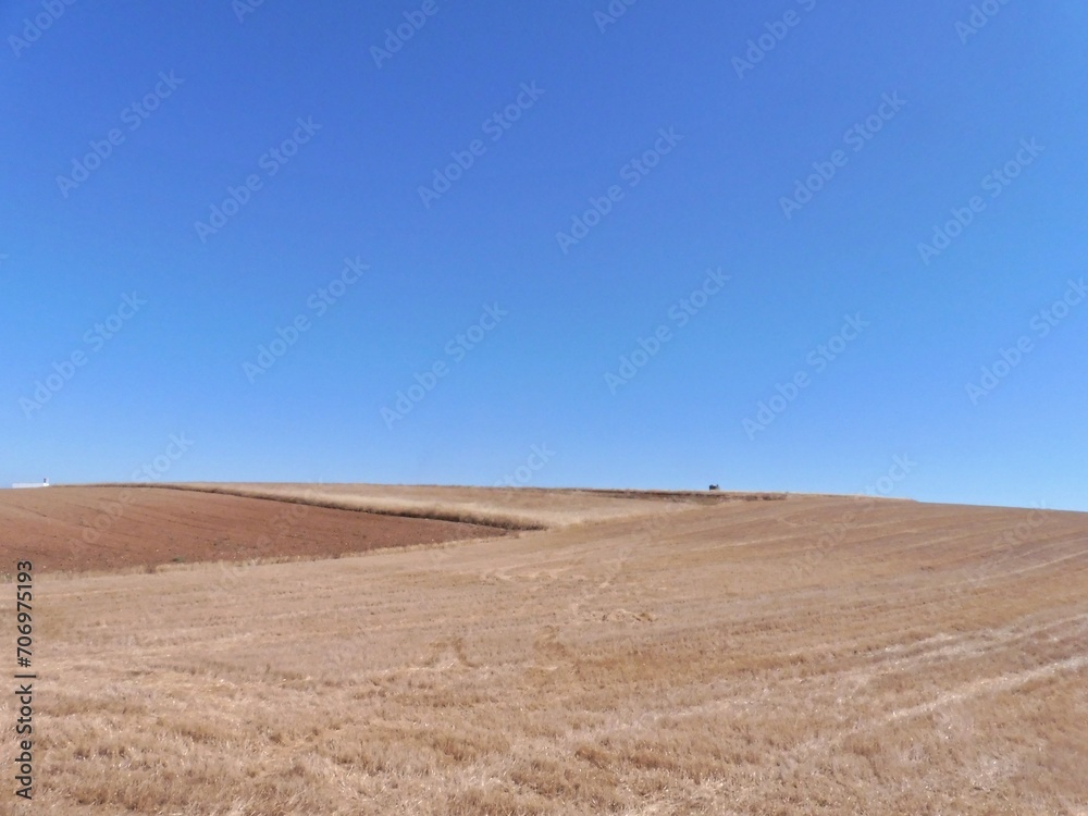 Typical dry Extremadura landscape in the summer season Typical dry Extremadura landscape in the summer season