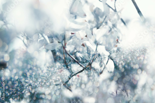 Composizione astratta di rami carichi di neve  photo