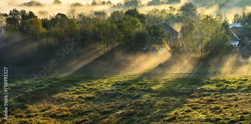 Morning fog in the meadow. Sun rays through the fog. Autumn landscape with foggy meadow and trees at sunrise. Nature of Ukraine