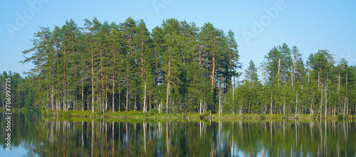 Beautiful forest lake. Panoramic view, landscape. forest reflecting on calm lake.