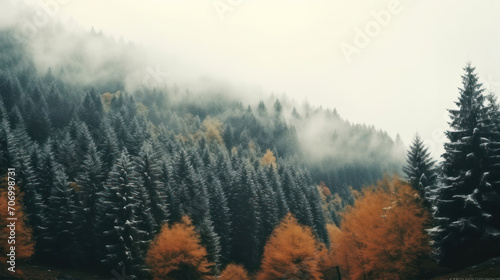 Autumn forest with fog and snow high in the mountains.