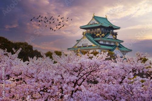 Cherry Blossoms bloom by a Castle at Dawn or Dusk, Kyoto, Japan.