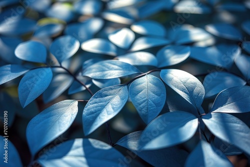 blue flower background, background, Close-up of blue leaves in dappled light, Soft light filtering through blue leaves