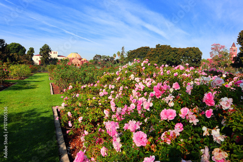 Photos Los Angeles, California: Exposition Park Rose Garden at 701 State Dr, Los Angele
