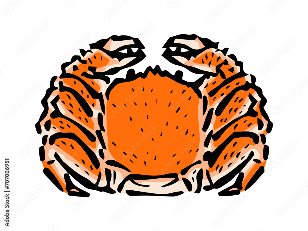Obraz premium 毛蟹のシンプルなイラスト