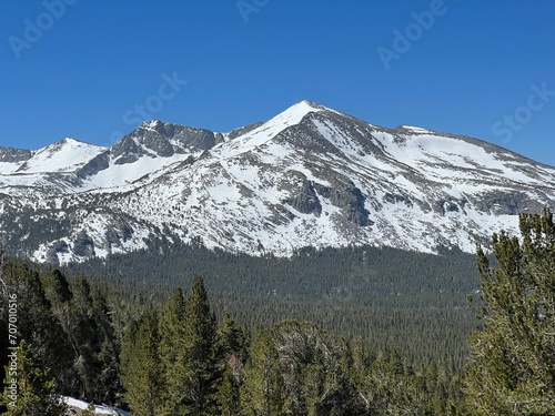 mt rainier national park