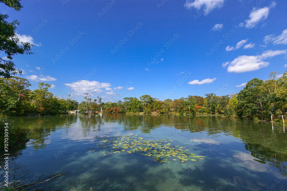Obraz premium 大沼国定公園、夏風景
