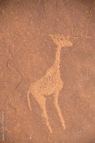 prehistoric bushmen engravings on a red rock in Twyfelfontein, damaraland, namibia