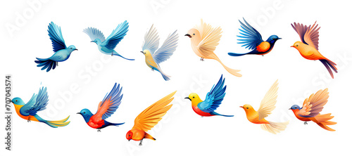 Drawing of a beautiful colorful bird flying on a transparent background PNG.