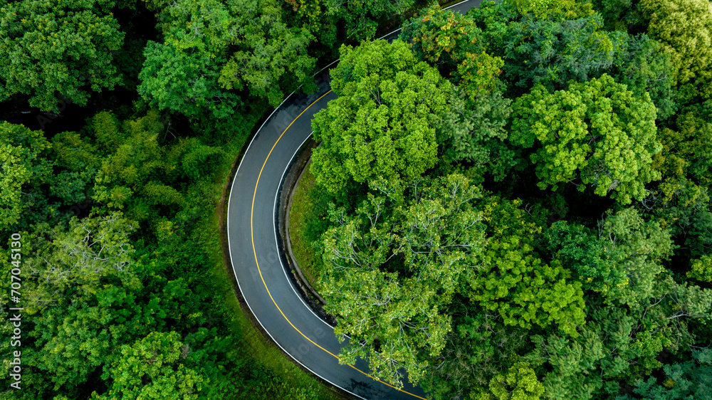Aerial top view road in forest with car motion blur. Winding road through the forest. Car drive on the road between green forest. Ecosystem ecology healthy environment road trip. Aerial top view road in forest with car motion blur. Winding road through the forest. Car drive on the road between green forest. Ecosystem ecology healthy environment road trip.