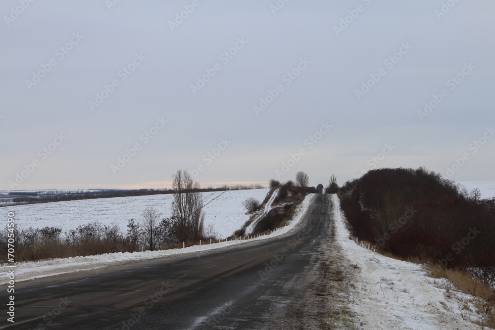 A dirt road with trees and a field of snow