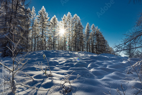 Fototapeta Naklejka Na Ścianę i Meble -  Zimowa sceneria na Malniku nad Muszyną. Zimowy krajobraz.