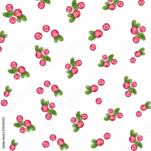 Fototapeta Naklejka Na Ścianę i Meble -  
cranberry, berries, print, pattern, background