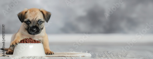  puppy eating from a bowl on a spacious wooden floor, looking at camera, banner with copyspace for text.