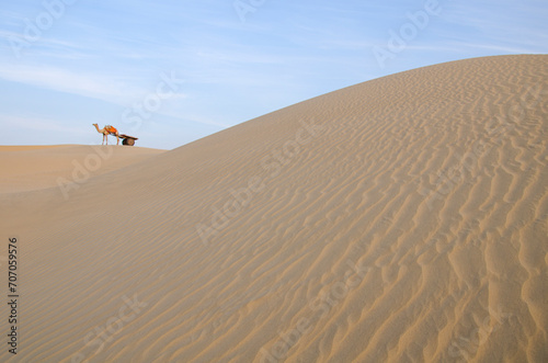 Beautiful and colorful sand dunes and camel car. Blue sky in the background. Background. Backdrop. Wallpaper.