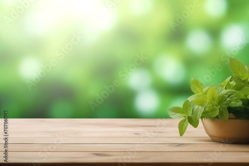 Potted plant in a garden on a wooden surface