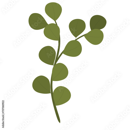 green leaves isolated on no background