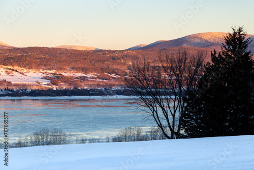 Row of trees seen in winter at sunrise, with the St. Lawrence River and the Laurentian mountains in soft focus background, Sainte-Famille, Island of Orleans