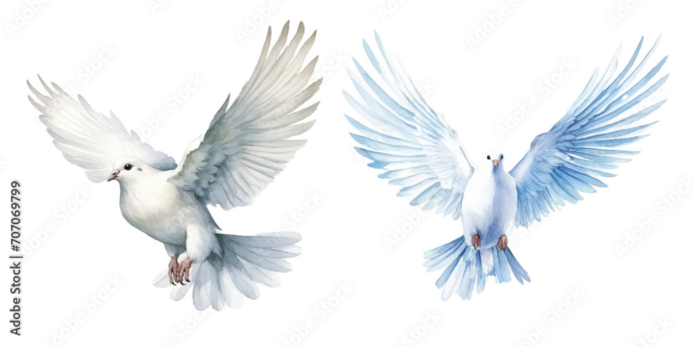 Fototapeta premium watercolor of dove bringing peace