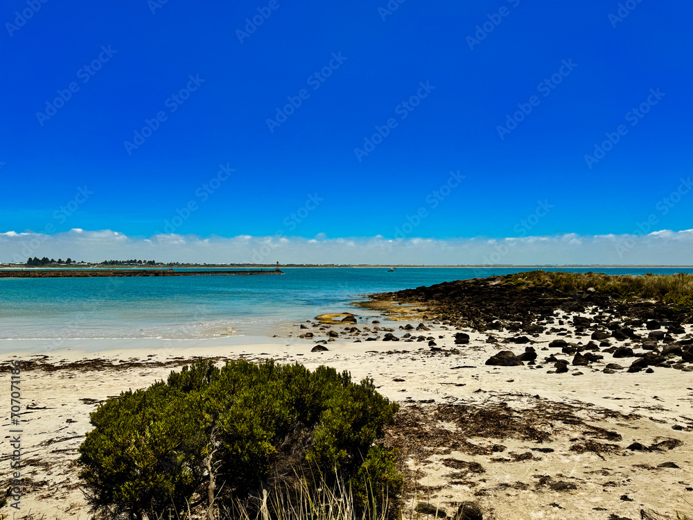 Seaside Beach with Grassy Dunes under Clear Blue Sky