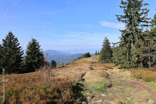 Blick von den Osserwiesen über die Täler und Berge des Bayerischen Waldes  © Pixel62