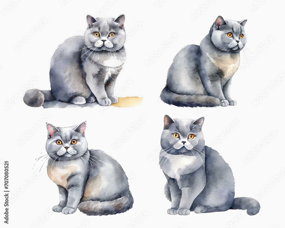 British shorthair Cats. Watercolor sitting cat illustration 4 sets