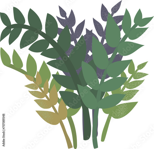 Flat design assorted green plants with leaves and seeds. Nature botanical graphic vector illustration.
